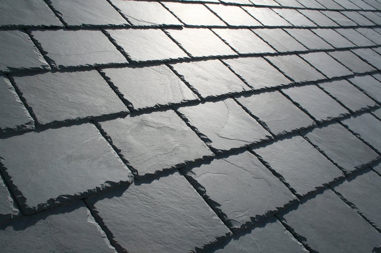 Beautiful slate roof with tiles shining in the sun